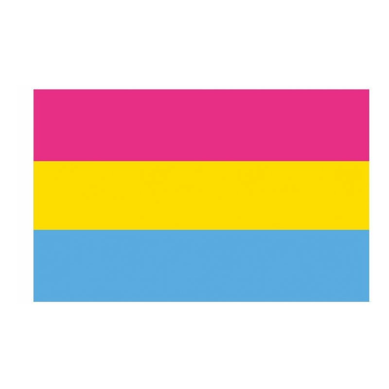 Generique Drapeau Pansexuel 90 x 150cm